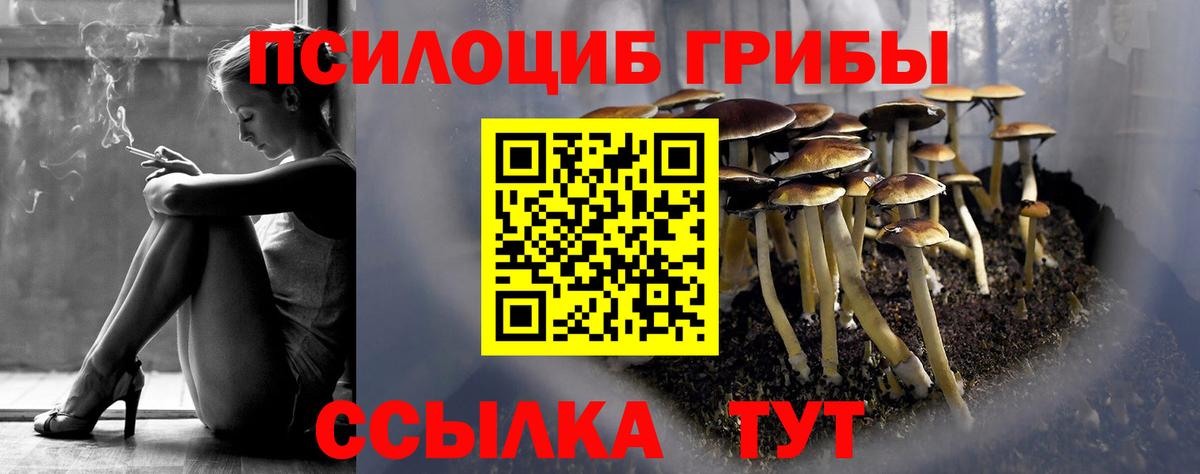 Псилоцибиновые грибы Psilocybine cubensis Урюпинск